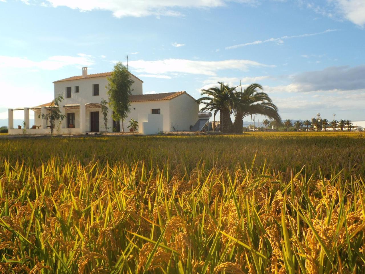 Mas Dels Bonos Guest House Deltebre Exterior foto